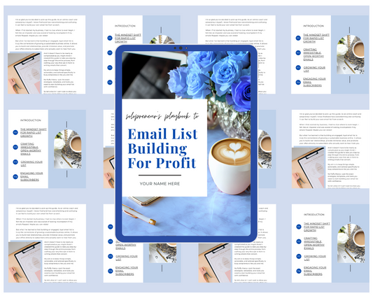 BUILDING A PROFITABLE EMAIL LIST